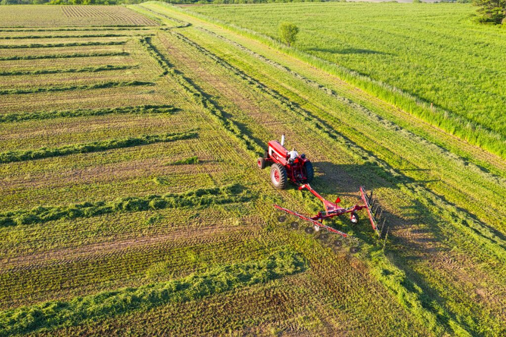 Tractor in a Green Field, About page